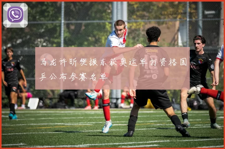 马龙许昕樊振东获奥运单打资格国乒公布参赛名单