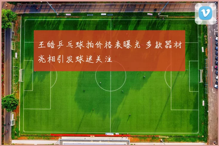 王皓乒乓球拍价格表曝光 多款器材亮相引发球迷关注