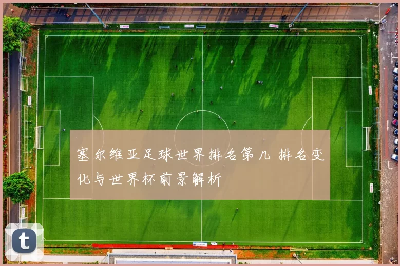 塞尔维亚足球世界排名第几 排名变化与世界杯前景解析
