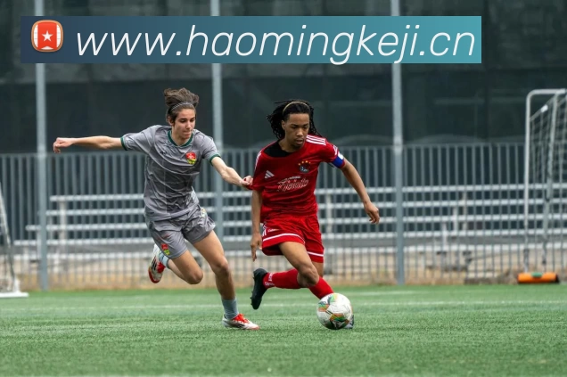 辅助工具 辅助工具